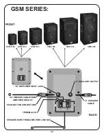 Предварительный просмотр 2 страницы Gemini GSM-1250 Operation Manual