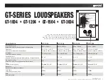 Gemini LOUDSPEAKERS GT-1004 User Manual предпросмотр