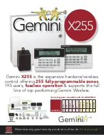 Gemini X 255 - Datasheet preview