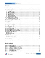 Предварительный просмотр 2 страницы GENASYS LRAD 100X Equipment Manual