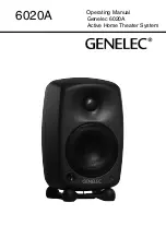 Genelec 6020A Operating Manual preview