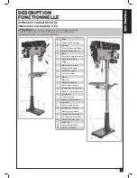 Preview for 37 page of General International DP2006 Setup And Operation Manual