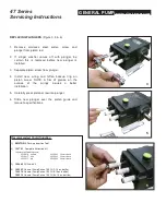 Preview for 2 page of General Pump 47 Series Servicing Instructions