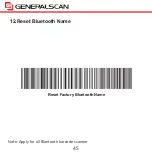 Preview for 45 page of Generalscan GS D100BT-Plus Quick Start Manual