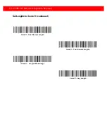 Preview for 100 page of Generalscan MiniRing GS R5000BT-51C Configuration Manual