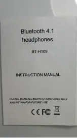 Generic BT-H109 Instruction Manual предпросмотр