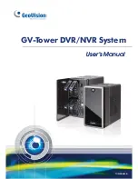 GeoVision GV-Tower User Manual preview