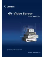 GeoVision GV-VS11 User Manual предпросмотр