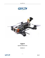 GEPRC Cygnet 3 Quick Start Manual предпросмотр