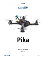 GEPRC Pika Quick Start Manual preview
