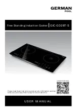 German pool GIC-GD28T-S User Manual предпросмотр