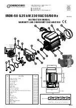 Предварительный просмотр 1 страницы Gespasa IRON-50 230 VAC Instruction Manual