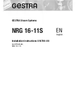 Preview for 1 page of GESTRA NRG 16-11S Installation Instructions Manual