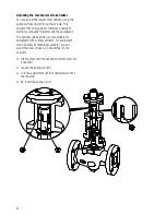 Предварительный просмотр 22 страницы GESTRA ZK 29 Installation Instructions Manual