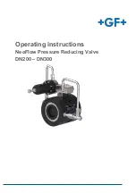 Preview for 1 page of GF NeoFlow DN200 Operating Instructions Manual