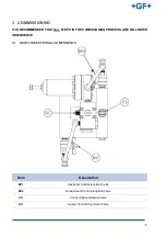 Preview for 30 page of GF NeoFlow DN200 Operating Instructions Manual