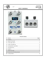 GFI System SKYLAB REVERB User Manual предпросмотр