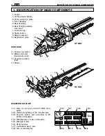 Preview for 7 page of GGP ITALY SPA Portable Hedge Trimmer Operator'S Manual