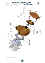 Предварительный просмотр 21 страницы Gianneschi 01AAM513K Operating Manual