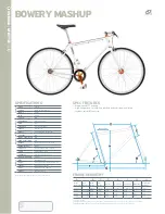 Giant BOWERY MASHUP Datasheet предпросмотр