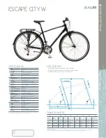 Giant ESCAPE CITY W Datasheet preview