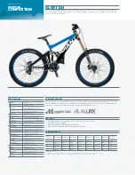 Giant GLORY DH Specifications предпросмотр