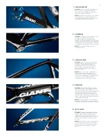 Предварительный просмотр 2 страницы Giant PERFORMANCE GRADE Brochure