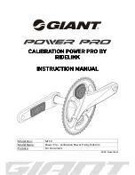 Giant power pro Instruction Manual preview