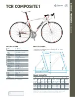 Giant TCR COMPOSITE 1 Datasheet предпросмотр