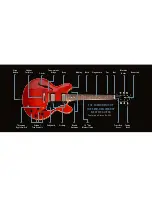 Предварительный просмотр 7 страницы Gibson 2008 Les Paul Standard Supplementary Manual