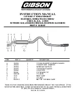 Preview for 1 page of Gibson 315547 Instruction Manual