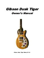 Gibson Dusk Tiger (Japanese) Owner'S Manual preview