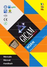 Gicam RQAN Installation And User Manual предпросмотр