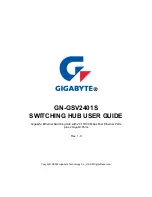 Предварительный просмотр 1 страницы Gigabyte GN-GSV2401S User Manual