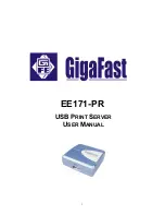 Gigafast EE171-PR User Manual preview