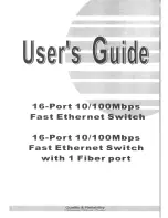 Gigafast EF1600-SI User Manual preview