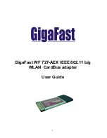 Gigafast WF727-AEX User Manual preview