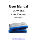 Preview for 1 page of Gigalink GL-VP-620X User Manual