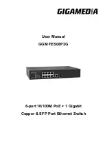 GIGAMEDIA GGM FES08P2G User Manual предпросмотр