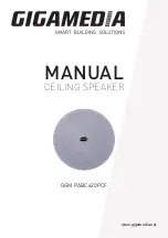 GIGAMEDIA GGM PABC620PCF Manual preview