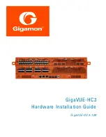 Gigamon GigaVUE-HC3 Hardware Installation Manual предпросмотр