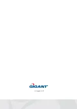 Preview for 6 page of Gigant Flex 200 Operating Instructions Manual