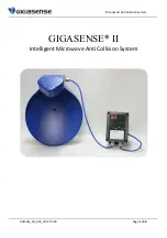 Gigasense GII Manual preview