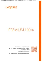 Gigaset PREMIUM 100 HX Manual предпросмотр