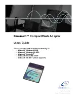 GigaWaveTech Bluetooth CompactFlash Adapter User Manual предпросмотр