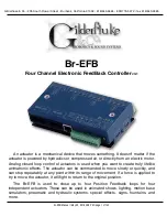 Предварительный просмотр 1 страницы Gilderfluke & Co Br-EFB Manual