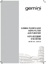 GILMAN GEMINI PURIFICARE GAP23G Manual предпросмотр