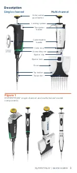 Preview for 3 page of Gilson MyPipetman P10 Quick Manual