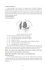 Предварительный просмотр 23 страницы Gima 1200G ECG User Manual