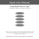 GINGKO Dragonflight Balance Light Quick User Manual preview